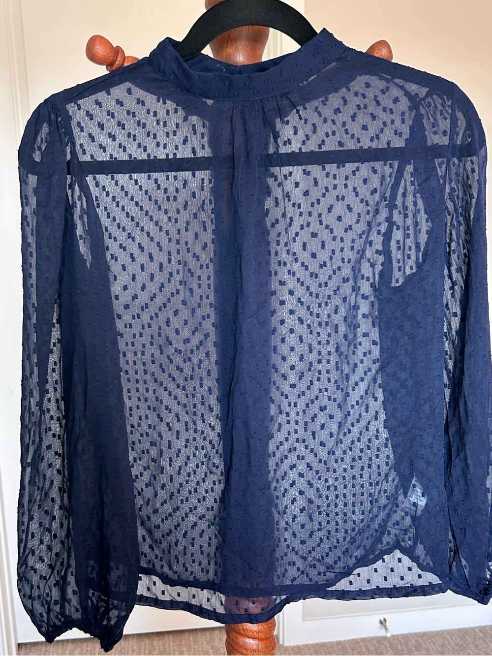 Navy Swiss Dot Sheer Long-Sleeve Blouse